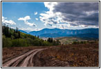 FR007/Temple Fork Rd, Utah