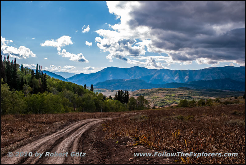 FR007/Temple Fork Rd, Utah