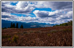 FR007/Temple Fork Rd, Utah
