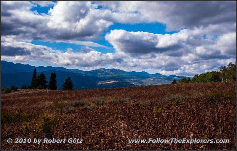 FR007/Temple Fork Rd, Utah