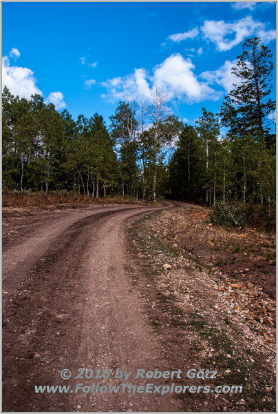 FR007/Temple Fork Rd, Utah
