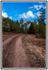 FR007/Temple Fork Rd, Utah