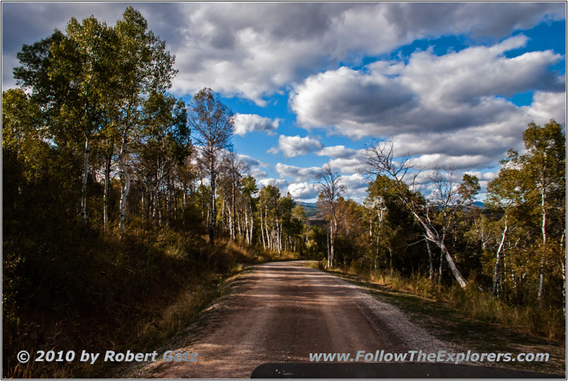 FR007/Temple Fork Rd, Utah