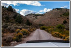 FR007/Temple Fork Rd, Utah