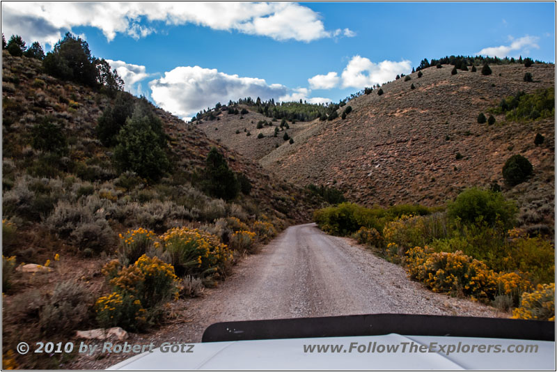 FR007/Temple Fork Rd, Utah