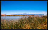 Bird Refuge Rd, Bear River, Utah