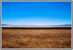 Salt Wells Rd, Utah