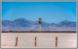 Frontage Rd/Old Hwy 40, The Tree of Utah, Utah