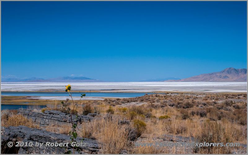 Tc03230, Great Salt Lake, Utah Tc03230, Great Salt Lake, Utah
