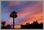 Sunset in Visalia, CA