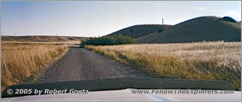 Backroad, Montana