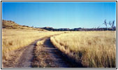 Backroad, Montana