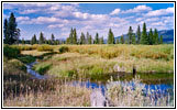 Grassy Lake Rd, Glade Creek, WY