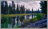 Grassy Lake Rd, Polecat Creek, WY