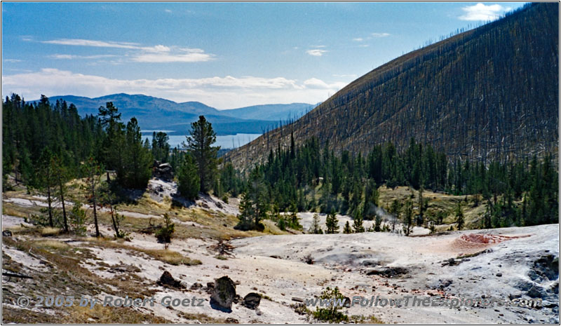 Heart Lake Trail, Yellowstone National Park, WY