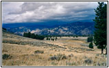 Grand Loop Rd, Yellowstone National Park, Wyoming