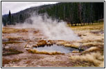 Obsidian Creek, Yellowstone National Park, WY