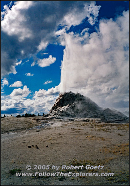 White Dome Geyser, Yellowstone National Park, WY