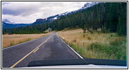 NE Entrance Rd, Yellowstone National Park, WY