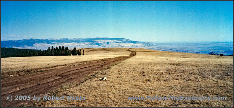 Pryor Mountain Wild Horse Range, Montana