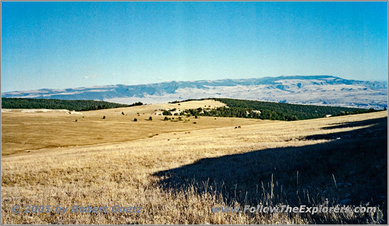 Pryor Mountain Wild Horse Range, MT