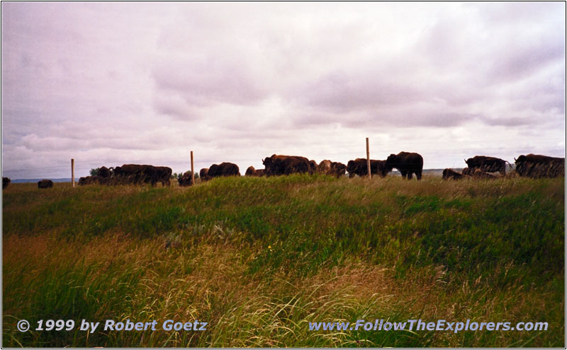 Buffalo, Highway 24, ND