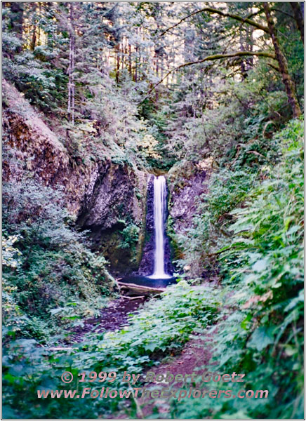 Larch Mountain Trail, Multnomah Creek, Oregon