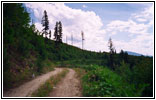 Forest Road FR5620, ID