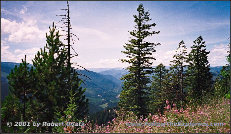 Forest Road FR368, ID