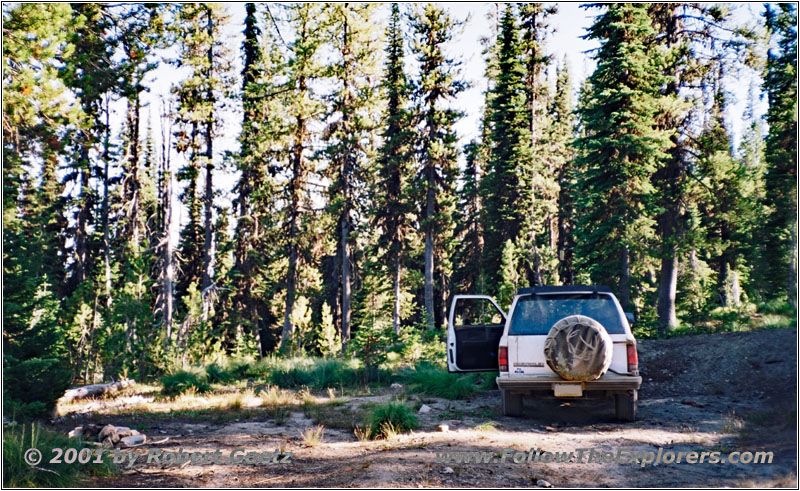 First Campsite at Lolo Motorway, FR500, ID