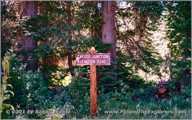 Schild Cayuse Junction, Lolo Motorway, FR500, Idaho