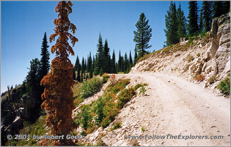 Lolo Motorway, FR500, Idaho