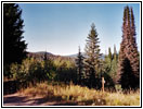 Bitterroot Range, First Campsite Way Back at Lolo Motorway, FR485, ID