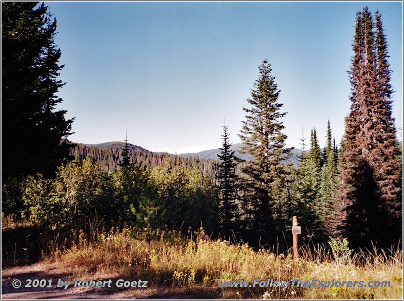 Bitterroot Range, First Campsite Way Back at Lolo Motorway, FR485, ID