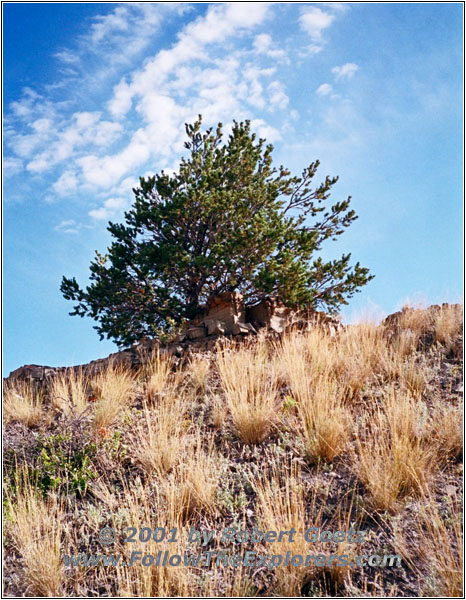 Convict Grade Road, MT