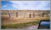 Deer at N Yellowstone Trail Road, MT