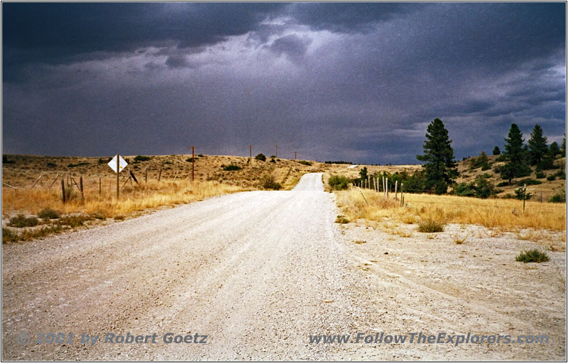 Trees Road, Montana