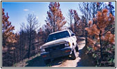 88 S10 Blazer auf Trail 37, Montana