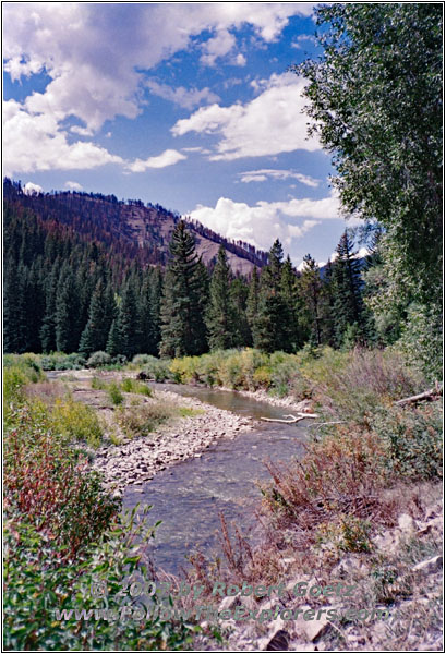 FR10124, Little Greys River, Wyoming