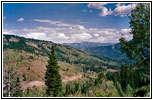 FR058/Bear Creek Rd, Wyoming