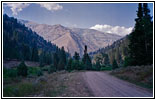 FR058/Bear Creek Rd, WY