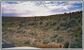 Pronghorn, Big Sandy Elkhorn Rd, WY