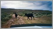 Lander Pinedale Stage Rd, Wyoming