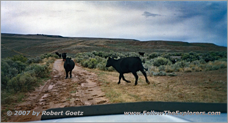 Lander Pinedale Stage Rd, WY