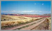 Red Canyon Rd, Red Canyon, Wyoming