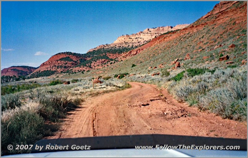 Red Canyon Rd, Red Canyon, Wyoming