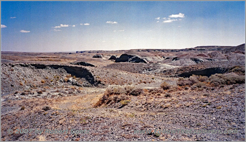 Backroad, Great Divide Basin, WY