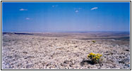 BLM Rd 3216, Cyclone Rim, Great Divide Basin, Wyoming