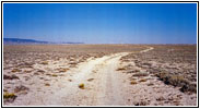 Backroad, Great Divide Basin, Wyoming