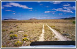 Gabelböcke, Emigrant Trail Rd/RD319, Wyoming